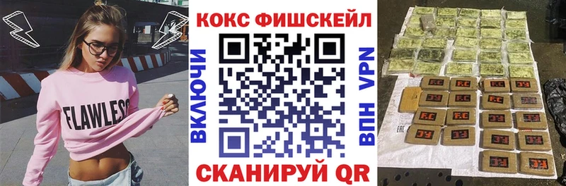Cocaine FishScale  Купить закладки  Камень-на-Оби 