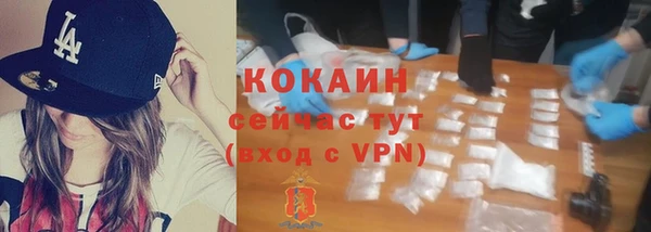 дмт Горно-Алтайск