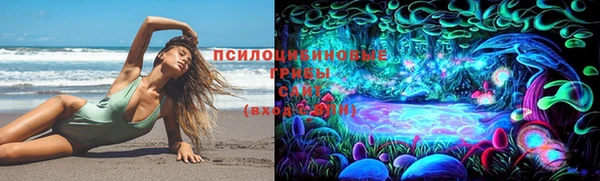 дмт Горно-Алтайск